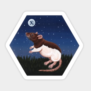 Agouti Hooded Rat Stargazing Sticker